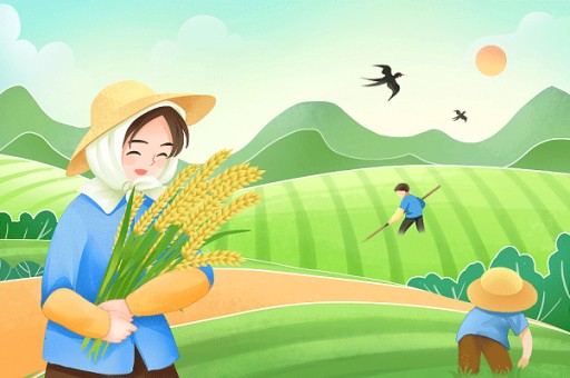 经济学专业怎么样？